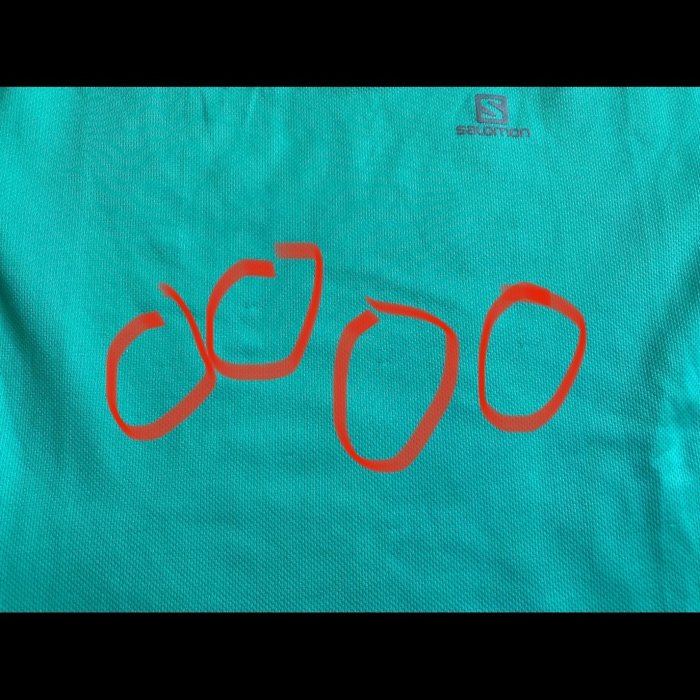 Salomon Green Long Sleeve Workout Shirt - Picture 2 of 6